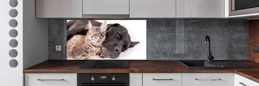 Crédence cuisine en verre Chien et chat