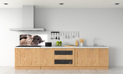 Crédence cuisine en verre Chien et chat