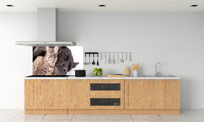 Crédence cuisine en verre Chien et chat