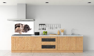 Crédence cuisine en verre Chien et chat