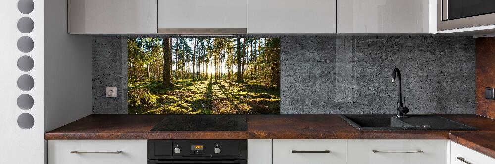 Crédence en verre cuisine Forêt de pins