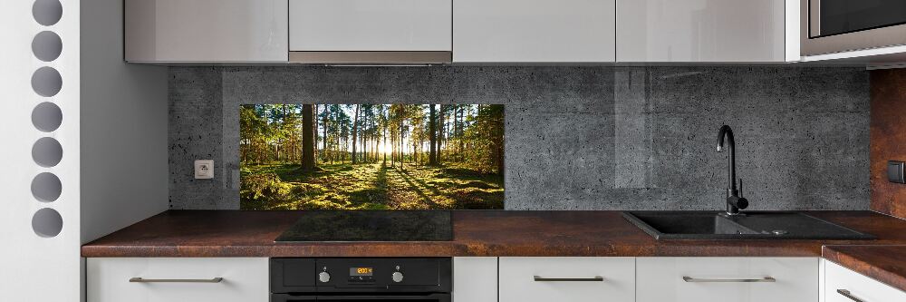 Crédence en verre cuisine Forêt de pins