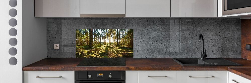 Crédence en verre cuisine Forêt de pins