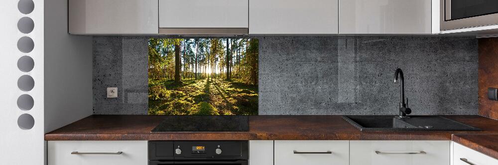 Crédence en verre cuisine Forêt de pins