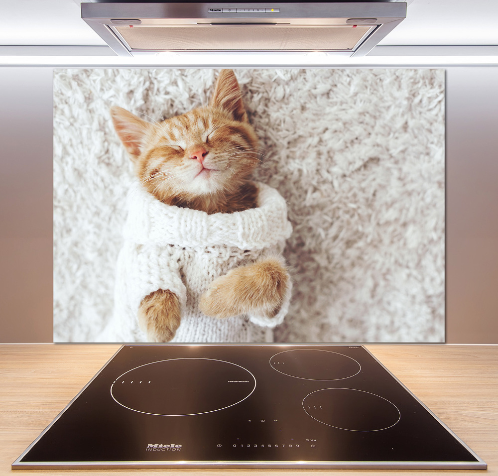 Panneau crédence cuisine Chat en pull-over