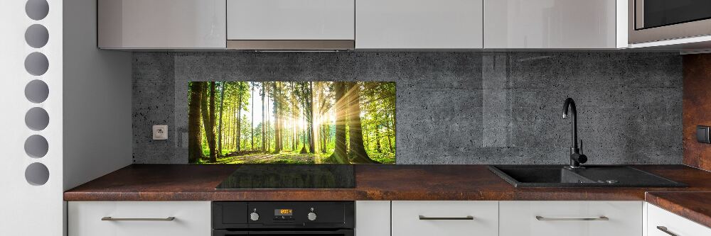 Crédence cuisine en verre Forêt au soleil