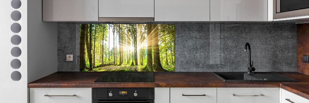 Crédence cuisine en verre Forêt au soleil