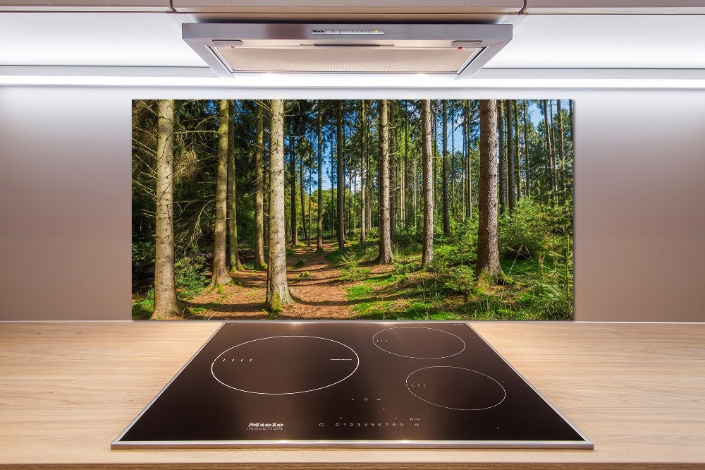 Crédence en verre cuisine Panorama d'une forêt