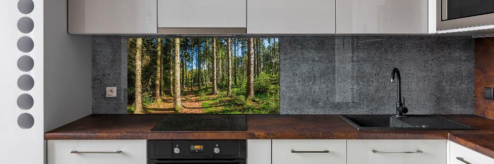 Crédence en verre cuisine Panorama d'une forêt