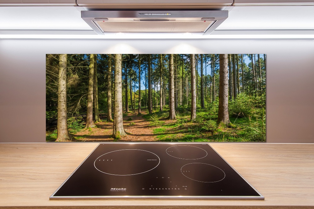 Crédence en verre cuisine Panorama d'une forêt