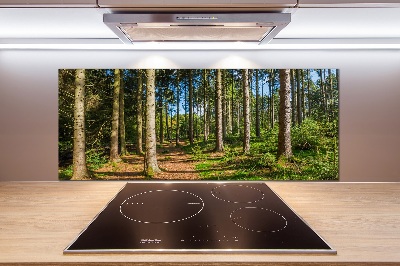 Crédence en verre cuisine Panorama d'une forêt