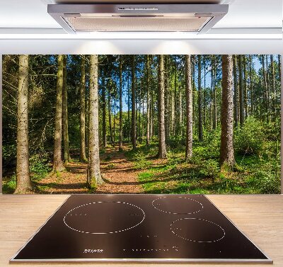 Crédence en verre cuisine Panorama d'une forêt