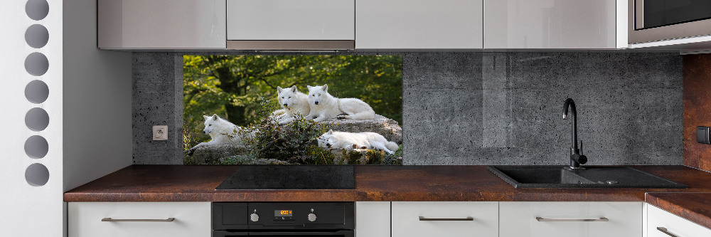 Panneau crédence cuisine Rocher du loup blanc