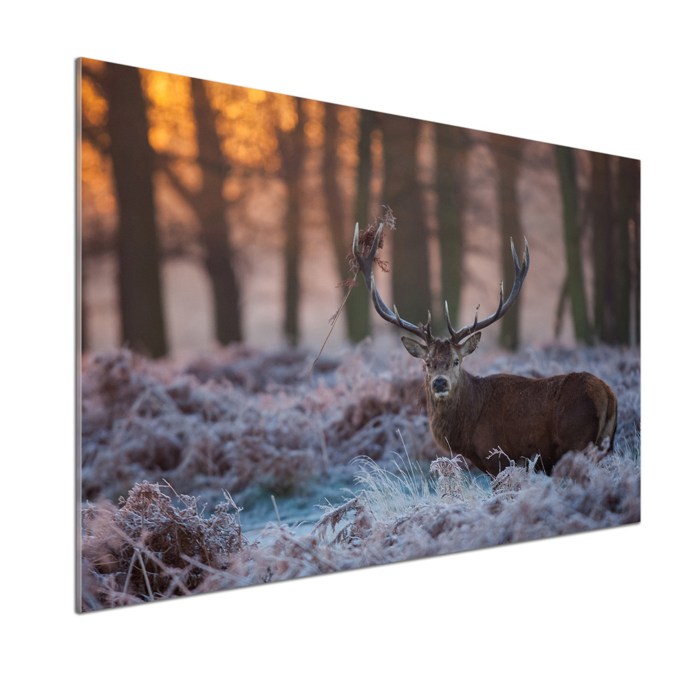 Crédence en verre avec motif Cerf à l'aube