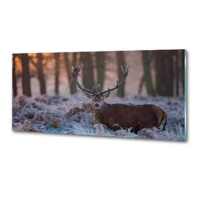 Crédence en verre avec motif Cerf à l'aube