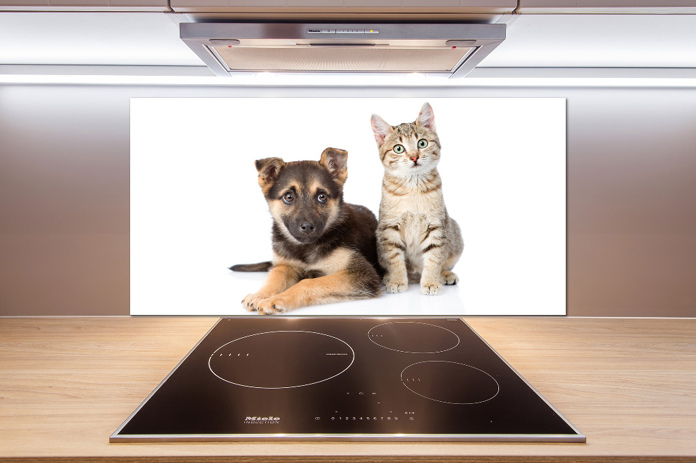 Crédence de cuisine en verre Chien et chat