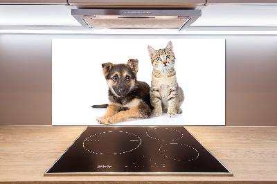 Crédence de cuisine en verre Chien et chat