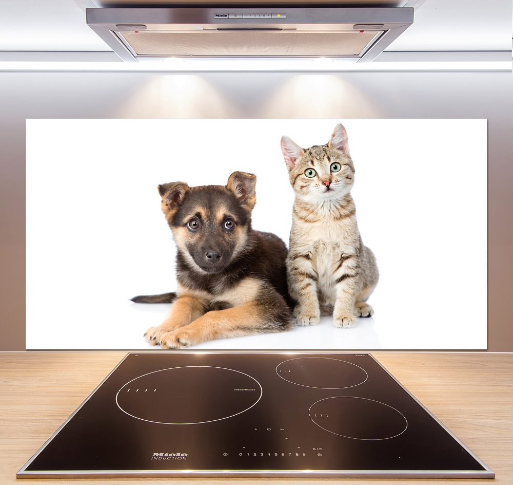 Crédence de cuisine en verre Chien et chat