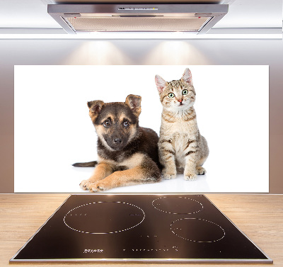 Crédence de cuisine en verre Chien et chat