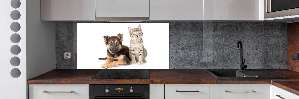 Crédence de cuisine en verre Chien et chat