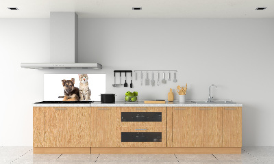 Crédence de cuisine en verre Chien et chat