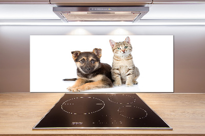 Crédence de cuisine en verre Chien et chat