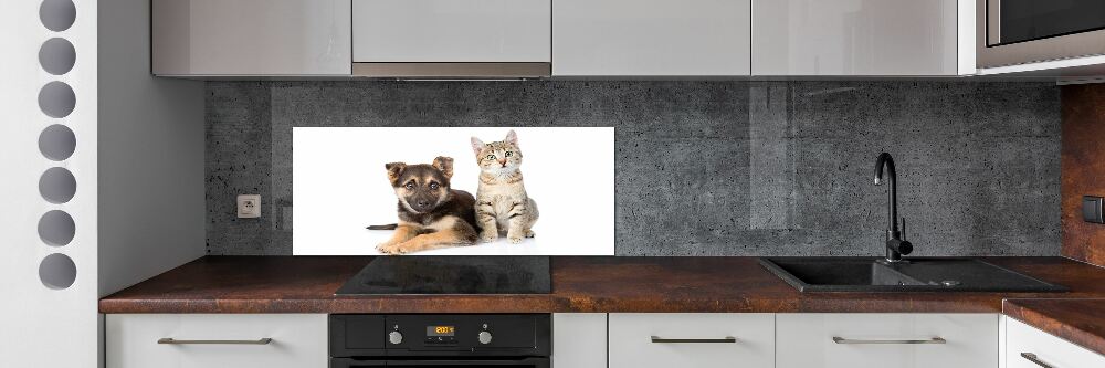 Crédence de cuisine en verre Chien et chat