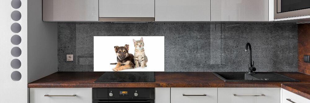 Crédence de cuisine en verre Chien et chat