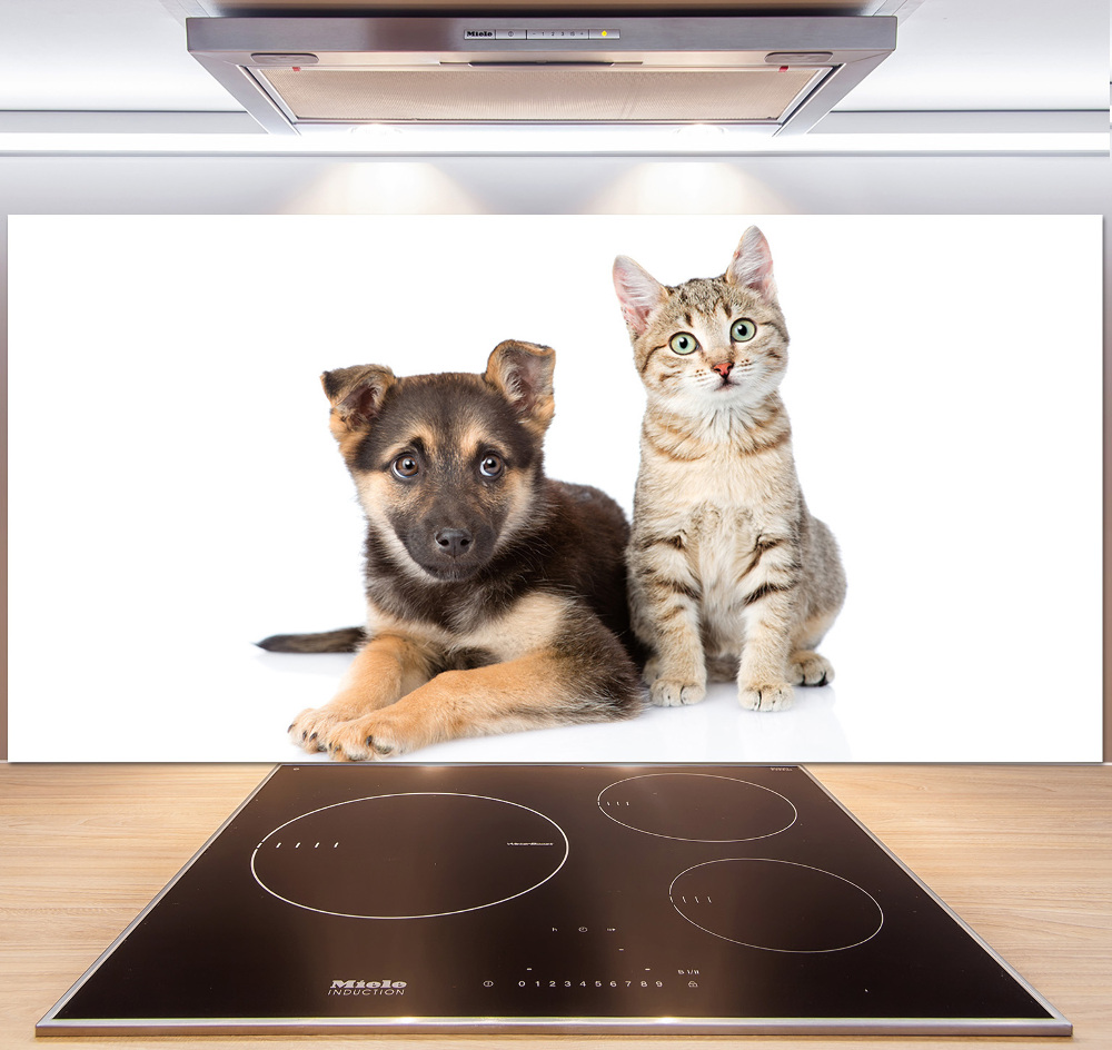 Crédence de cuisine en verre Chien et chat