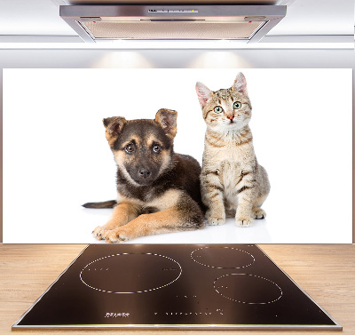 Crédence de cuisine en verre Chien et chat