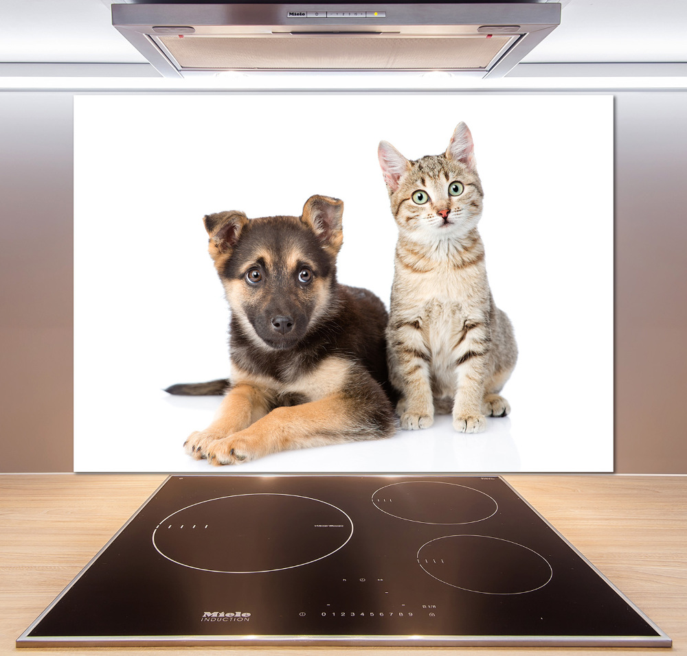 Crédence de cuisine en verre Chien et chat