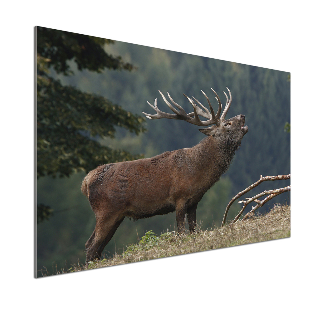 Crédence en verre trempé Cerf sur une colline