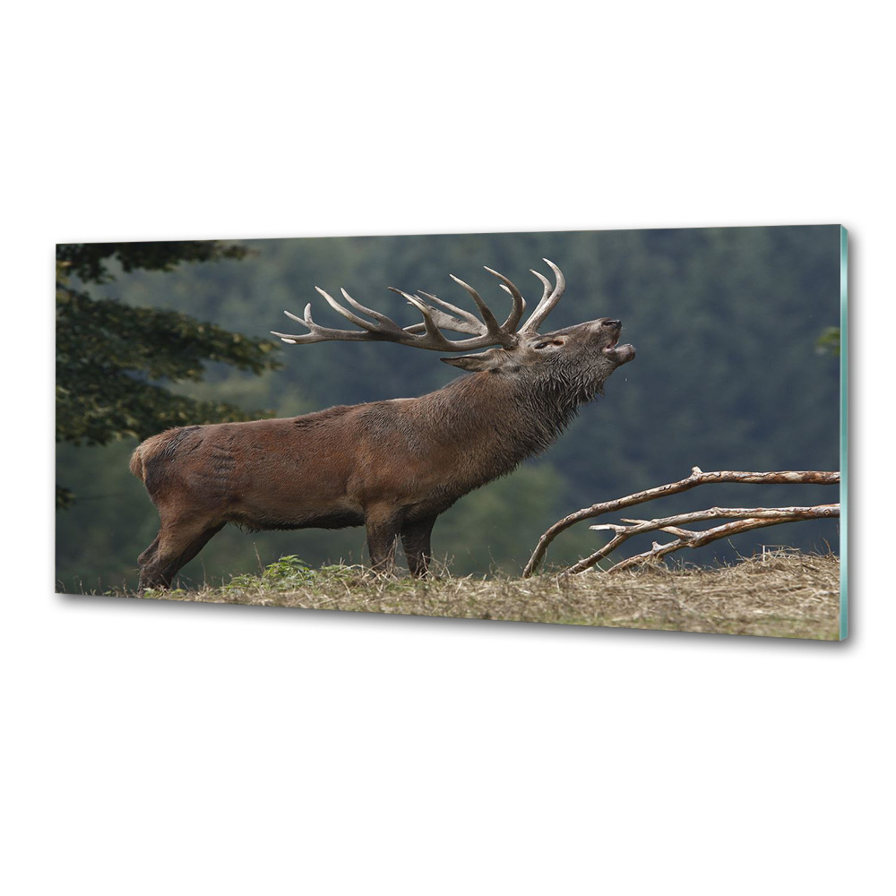 Crédence en verre trempé Cerf sur une colline