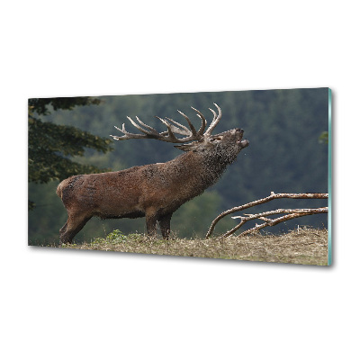 Crédence en verre trempé Cerf sur une colline