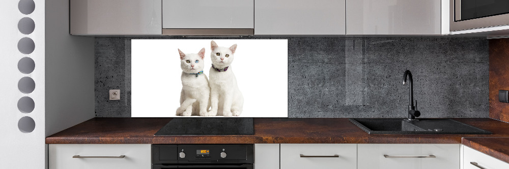 Verre pour crédence Chats blancs