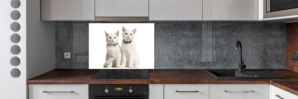 Verre pour crédence Chats blancs