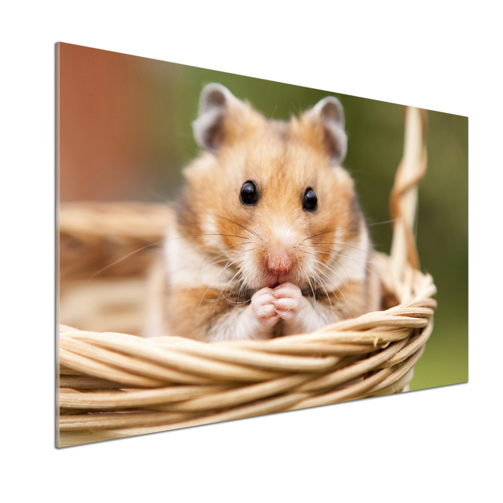 Crédence cuisine en verre trempé Hamster dans un panier