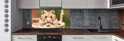 Crédence cuisine en verre trempé Hamster dans un panier