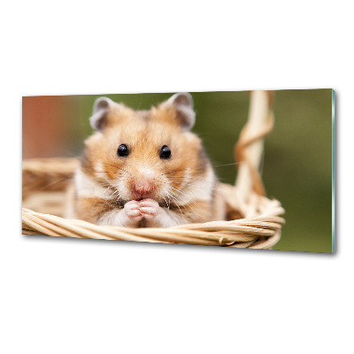 Crédence cuisine en verre trempé Hamster dans un panier