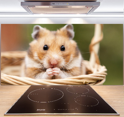 Crédence cuisine en verre trempé Hamster dans un panier