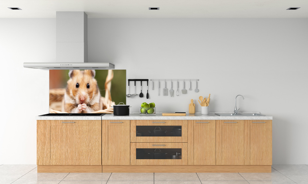 Crédence cuisine en verre trempé Hamster dans un panier