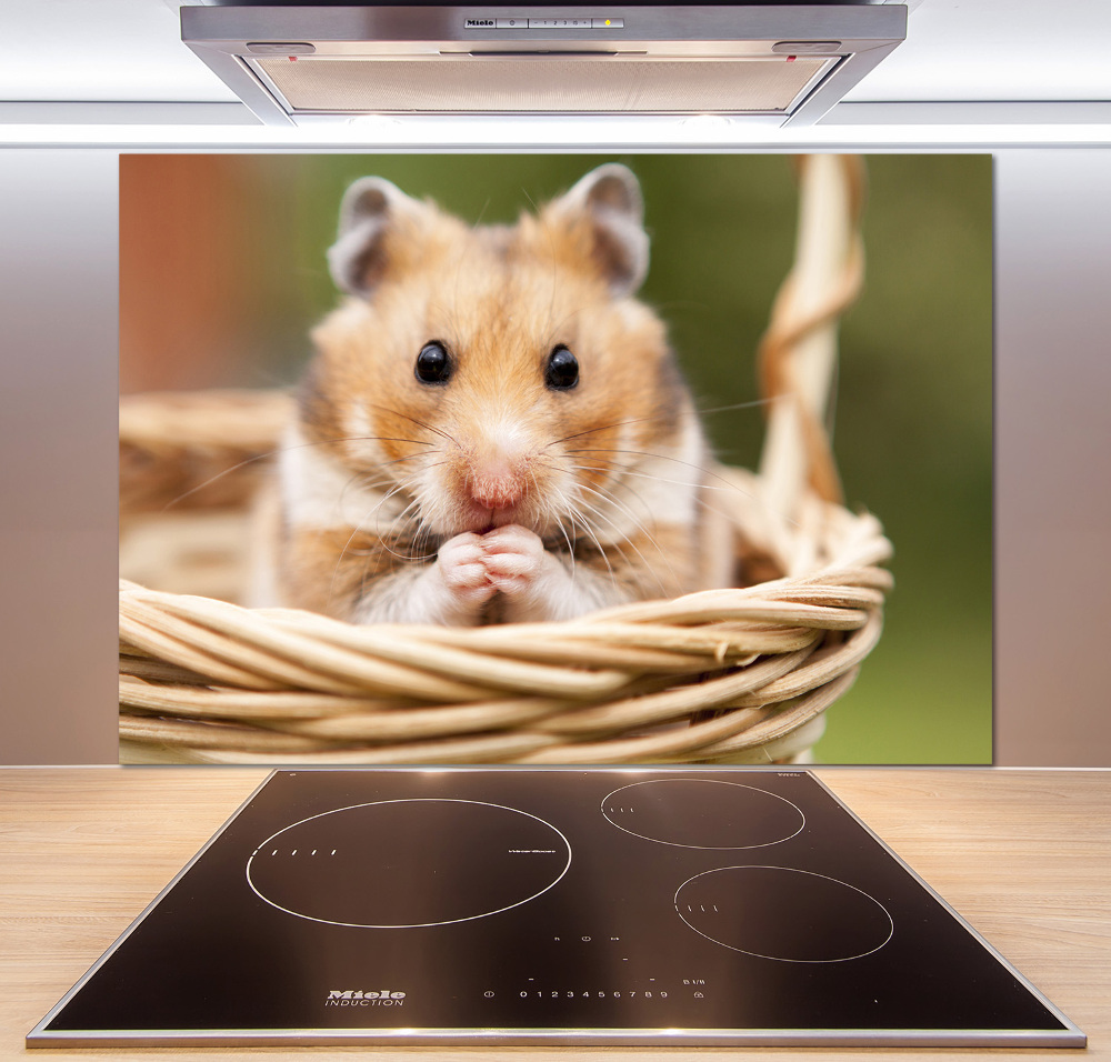 Crédence cuisine en verre trempé Hamster dans un panier