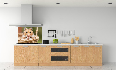 Crédence cuisine en verre trempé Hamster dans un panier