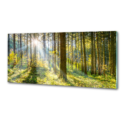 Crédence en verre avec motif Forêt au soleil