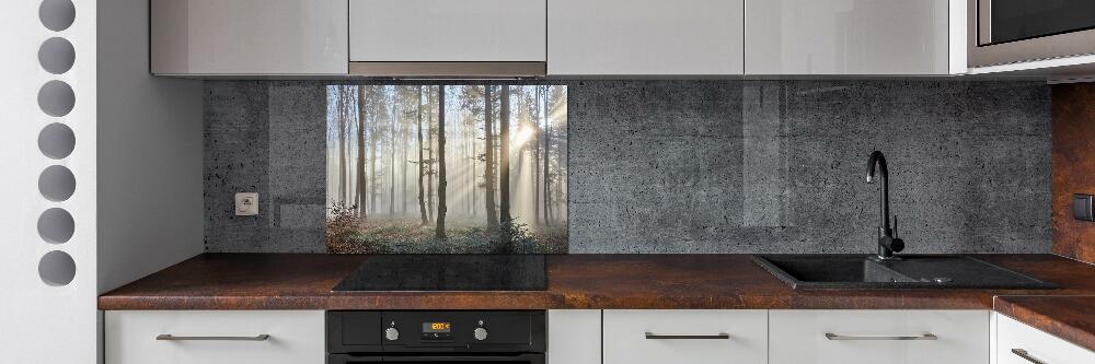 Crédence de cuisine en verre Brume dans la forêt