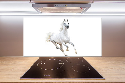 Panneaux de cuisine Cheval arabe blanc