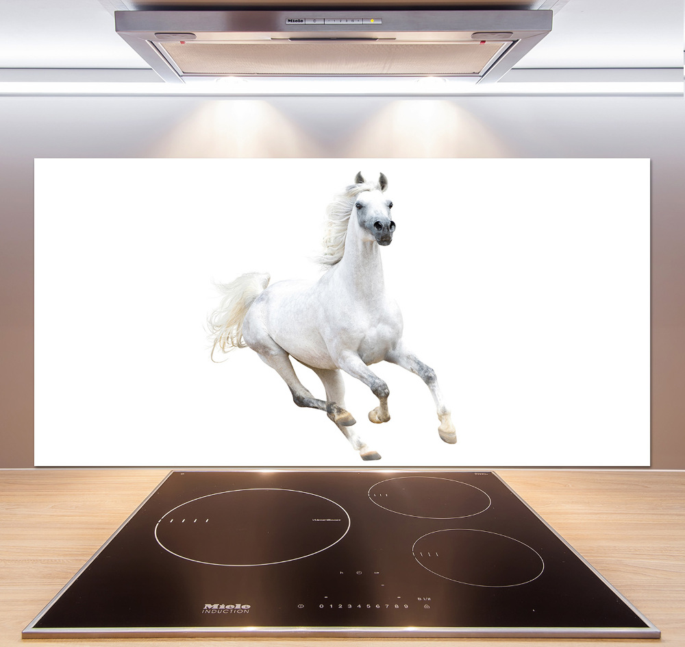 Panneaux de cuisine Cheval arabe blanc