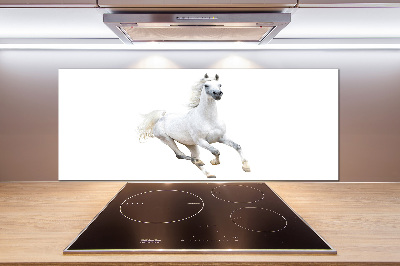 Panneaux de cuisine Cheval arabe blanc