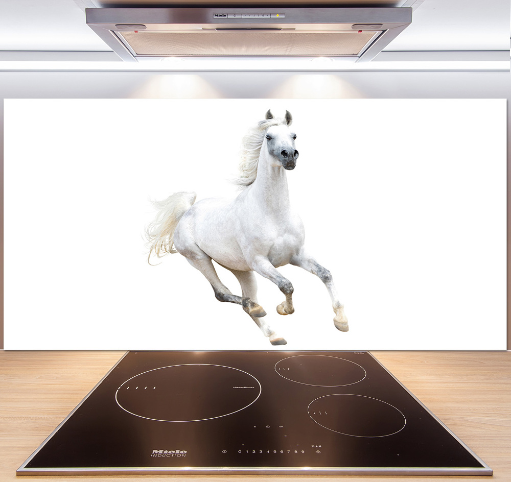 Panneaux de cuisine Cheval arabe blanc