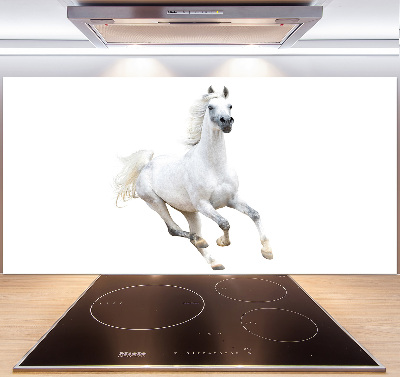 Panneaux de cuisine Cheval arabe blanc